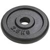 vidaXL Weight Plates 8 pcs 8x5.5 lb Cast Iron