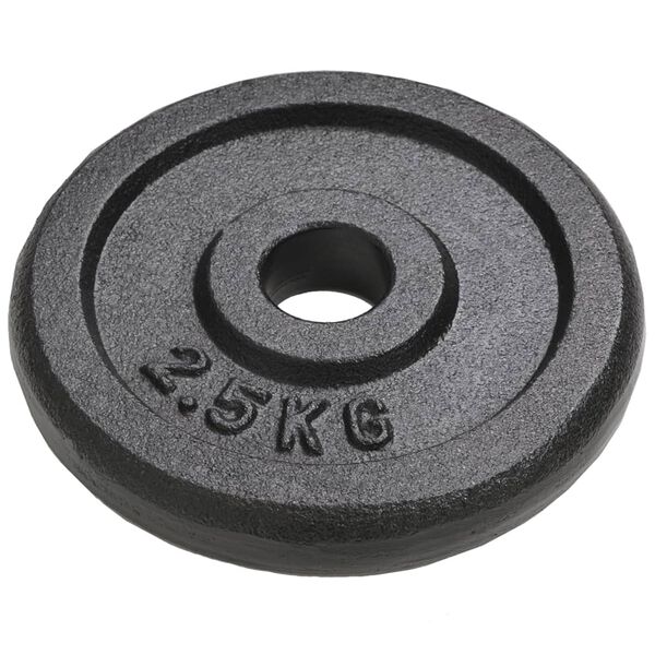 vidaXL Weight Plates 8 pcs 8x5.5 lb Cast Iron