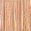 vidaXL Bamboo Fences 2 pcs 39.4"x157.5"