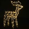 vidaXL Christmas Light Display Warm white PVC, steel Christmas Lights