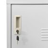 vidaXL Locker Cabinet Set of 2 Light Grey Steel Medium Locker Cabinet