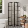 vidaXL Shower Cabin ESG 31.5"x31.5"x70.9"