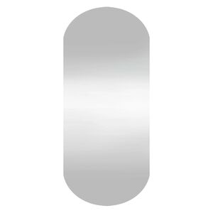 vidaXL Wall Mirror Transparent Glass 9.8x23.6 in Mirror Wall Mirror