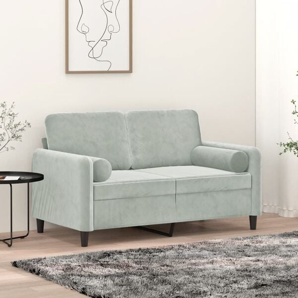 vidaXL 2-seater Sofa Light Gray Velvet, Metal, Textilene, Foam 2-Seater