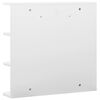 vidaXL Mirror Cabinet White and silver MDF with melamine finish, glass