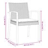 vidaXL Garden Chair Set of 2 Brown PE Rattan, Steel Standard Durable