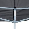 vidaXL Partytent Anthracite 600D oxford with PVC coating 10x20 ft