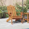 vidaXL Garden Chair Natural wood Solid Acacia wood Standard Foldable