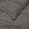 vidaXL Weighted Blanket Gray