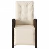 vidaXL Reclining Garden Chair Brown PE Rattan, Powder-Coated Steel