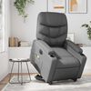 vidaXL Electric Stand Up Massage Recliner Chair Gray