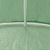 vidaXL Greenhouse Green PE (Polyethylene) Large Greenhouse Rectangular