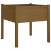 vidaXL Garden Planter Set of 2 Honey Brown Solid Pinewood Large