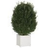 vidaXL Planter Set of 2 White Solid pinewood Large Durable Planter