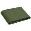 vidaXL Tarpaulin 0.6 oz/ft&sup2; 13.1'x16.4' Green HDPE