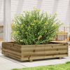 vidaXL Garden Planter Pine Treated Pinewood Large Decorative Inlays
