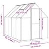 vidaXL Greenhouse Anthracite, Transparent Aluminum, Polycarbonate Large