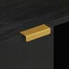 vidaXL TV Cabinet Black Engineered wood, Solid mango wood, Brass