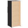 vidaXL Highboard Black Engineered wood Medium Highboard Rectangular