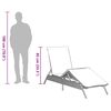 vidaXL Sun Lounger Beige, Light Grey Poly Rattan, Powder-Coated Steel