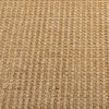 vidaXL Rug Natural 100% sisal 39.4x78.7 in Area Rug Rectangular