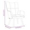 vidaXL Relaxing Chair with a Stool Light Gray Velvet