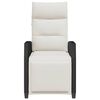 vidaXL Reclining Garden Chair Black PE rattan, powder-coated steel Medium