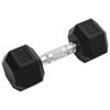 vidaXL Dumbbells 2 pcs 35.3 lb Total Cast Iron