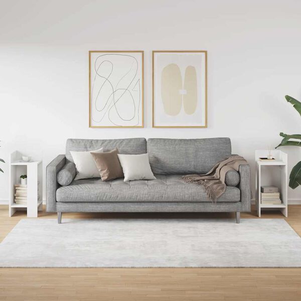 vidaXL Side Table Set of 2 White Engineered wood Small Side Table