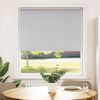 vidaXL Roller Blind Light grey 100% Polyester, Aluminum 43.3 x 51.2 in