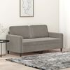 vidaXL 2-seater Sofa Light Gray Velvet (100% polyester), Metal, Plywood