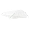vidaXL Greenhouse White Polyethylene Large UV-resistant materials