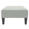 vidaXL Footstool Light Grey Velvet (100% polyester), plywood, plastic