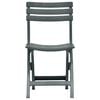 vidaXL Garden Chair Set of 2 Green Plastic Standard Collapsible
