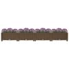 vidaXL Raised Bed Brown Polypropylene (PP) 63.0 x 15.7 x 9.1 in Durable