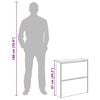 vidaXL Shoe Cabinet 2-Layer Mirror White 24.8x6.7x26.4"