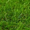 vidaXL Artificial Grass Green with light and dark shades and brown