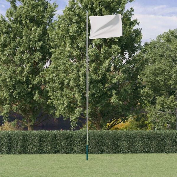 vidaXL US Flag and Pole 18.2 ' Aluminium