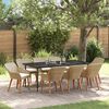 vidaXL Garden Dining Set with Cushion 9 pcs Beige Poly Rattan