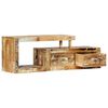 vidaXL TV Cabinet Various shades of wood