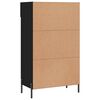 vidaXL Shoe Cabinet Black Engineered wood, iron, zinc alloy Medium