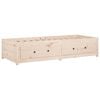 vidaXL Day Bed Natural Pine Solid Pine Wood Twin