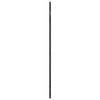 vidaXL Wall Mirror Black Glass and Powder-Coated Iron 19.7 x 39.4 in