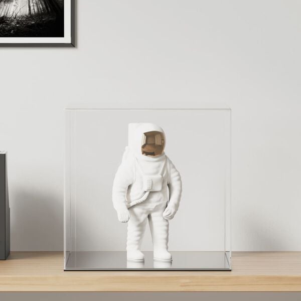 vidaXL Display Box Transparent 15.7x14.2x13.8" Acrylic