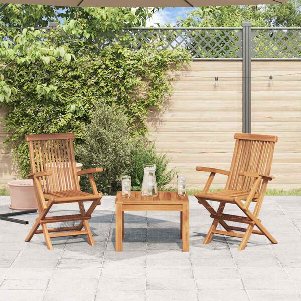 vidaXL Garden Chair Set of 2 Teak Solid Teak Wood Standard Foldable