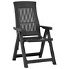 vidaXL Garden Chair Set of 2 Anthracite Plastic Standard Foldable