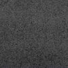 vidaXL Doormat Anthracite and Black 47.2" x 118.1" Polyamide and PVC