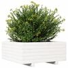 vidaXL Garden Planter White Solid Pine Wood 24 in Decorative Inlays