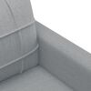 vidaXL 2-seater Sofa Light Gray Fabric (100% polyester), metal, foam