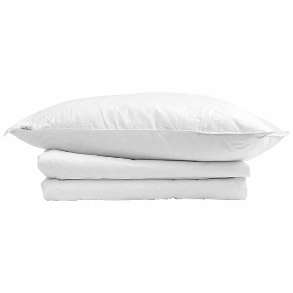vidaXL Summer Duvet with Pillow 2 pcs White Down Feather